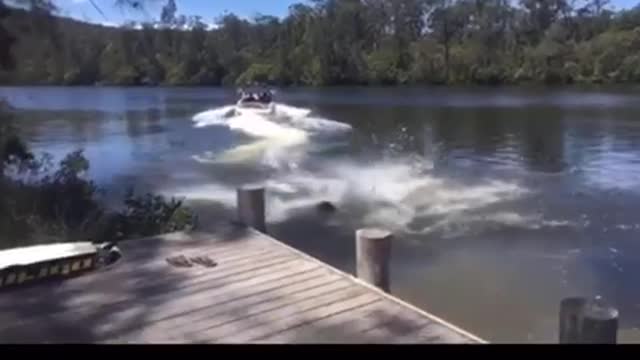 Buy blue wakeboard jumps off pier into water faceplant fail