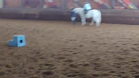 Lily riding a horse at 7th Birthday Party.