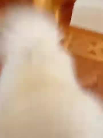 20191122文贵先生视频：Snow 尊敬的战友们好！你们健身了吗？你们传播香港危机真相了吗？文贵今天上午没有直播，一切都是刚刚开始！