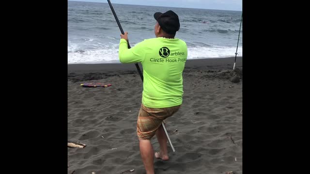 Catching 2 tiger sharks