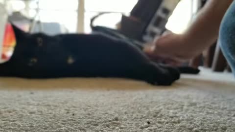 20240319 173848 Tux Rubber Brushed