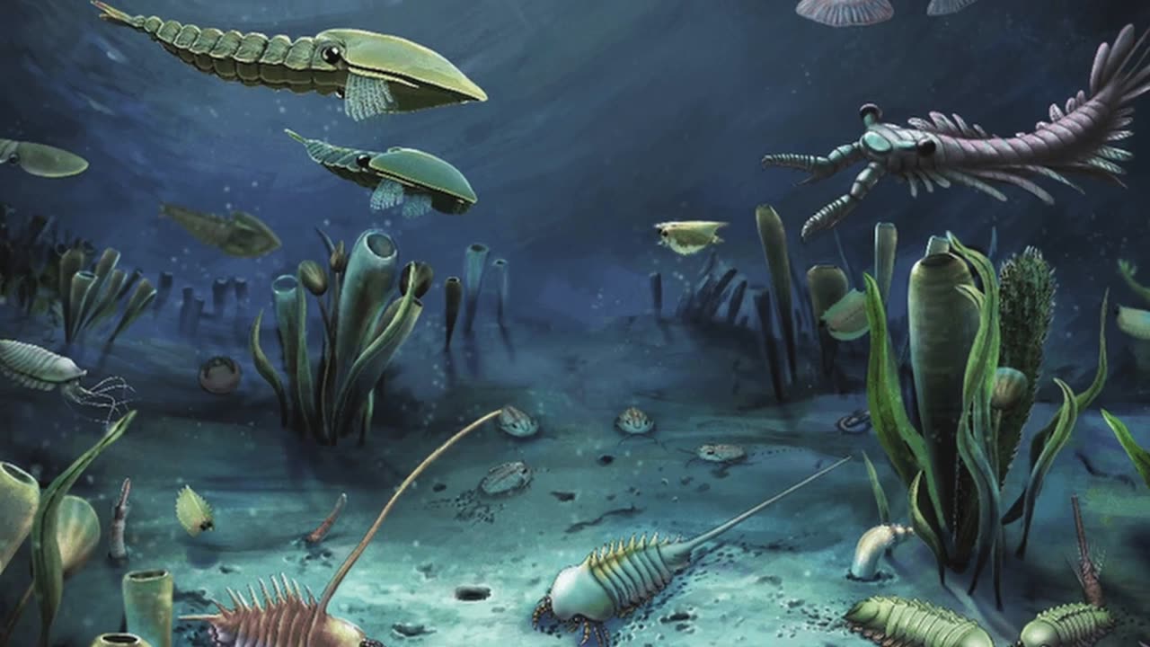 LA TEORÍA EVOLUTIVA MÁS PERTURBADORA: EL EFECTO CALISTO