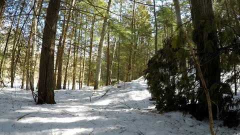 Solo Winter Bushcraft: Overnight in an Elevated Shelter-1