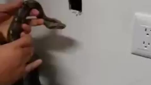 Snake hole
