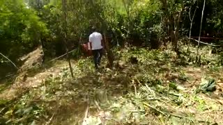 Video: Denuncian invasión de zona protegida en un sector boscoso de la calle 45 de Bucaramanga