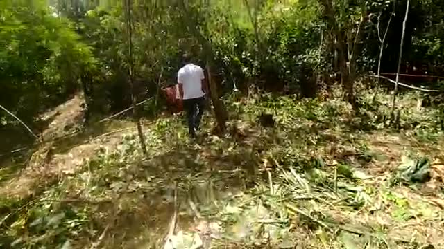 Video: Denuncian invasión de zona protegida en un sector boscoso de la calle 45 de Bucaramanga