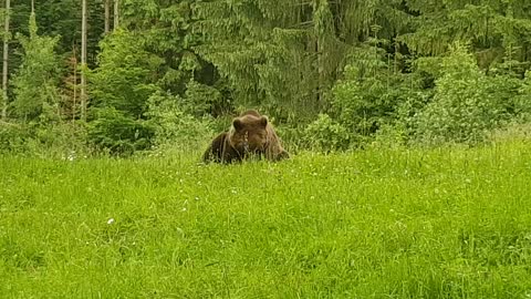 Romania (Székelyföld)