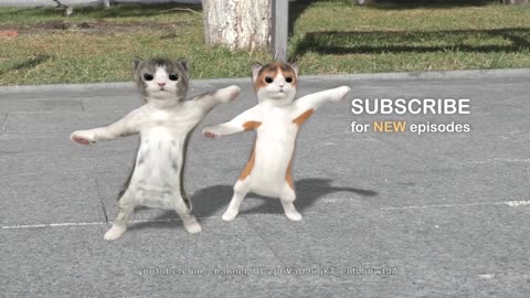 Dancing cats