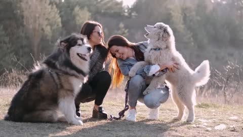 Wow, Big Hairy Lion Shepherd Shares A Moment With Family