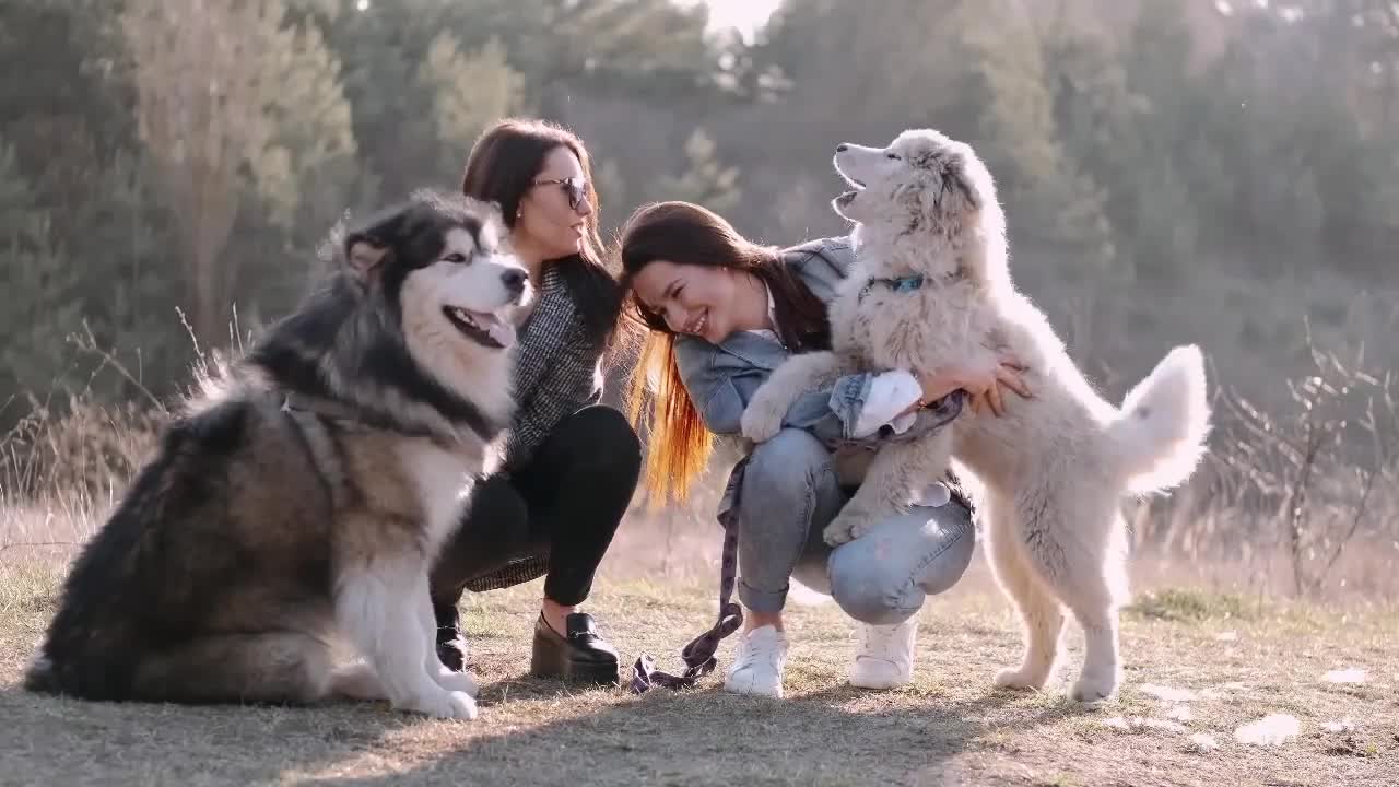 Wow, Big Hairy Lion Shepherd Shares A Moment With Family