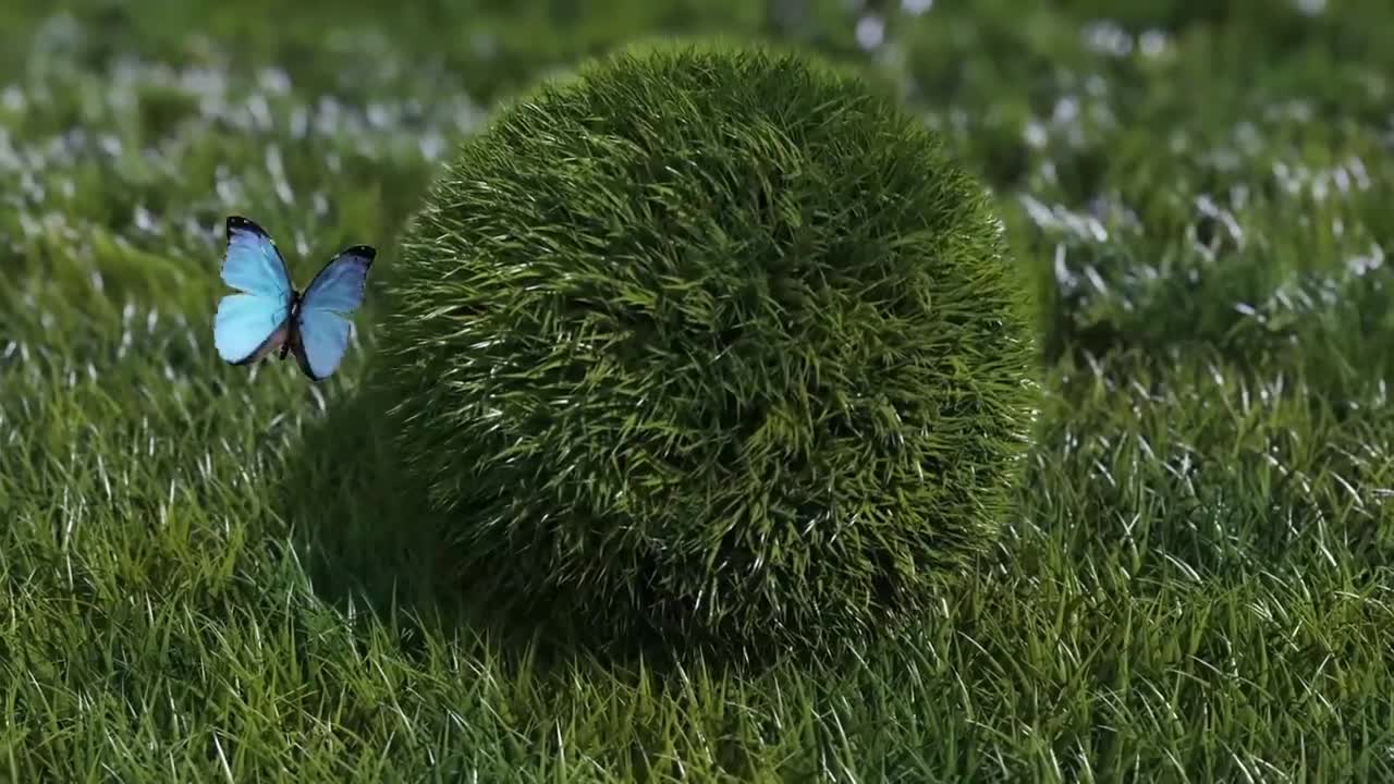 Omg๐ฑ Nver kill insect๐๐ฆ๐ , these are so beneficial ๐ช๐ค
