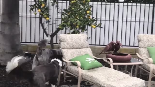 The two babies are having a great time