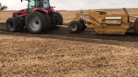 Harvest Time