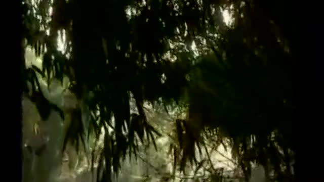 រឿង ព្រះវិស្ណុ DVD 01.CUT.25'00-26'00