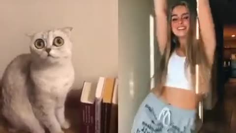 Funny Cats, Funniest Cats, Best Funny Cat Videos Of This Week #short 5