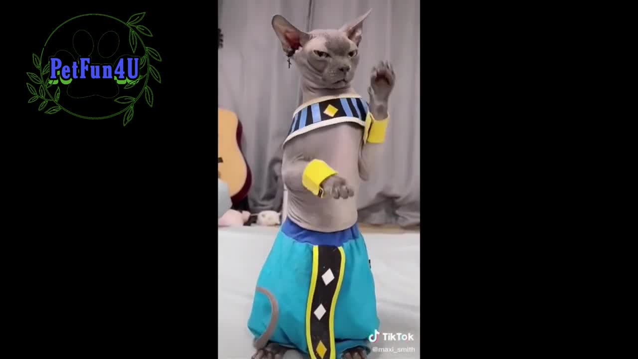 Funniest 🐕‍🦺 Dog 🐈Cat 🐇 Pet