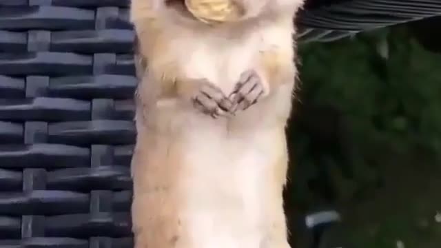 Hey, I told you, THIS IS MINE