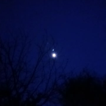 Live Free New Hampshire Night