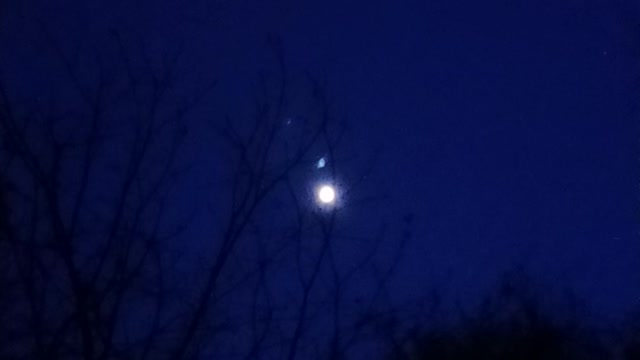 Live Free New Hampshire Night