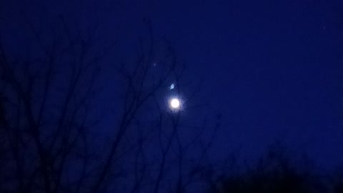 Live Free New Hampshire Night