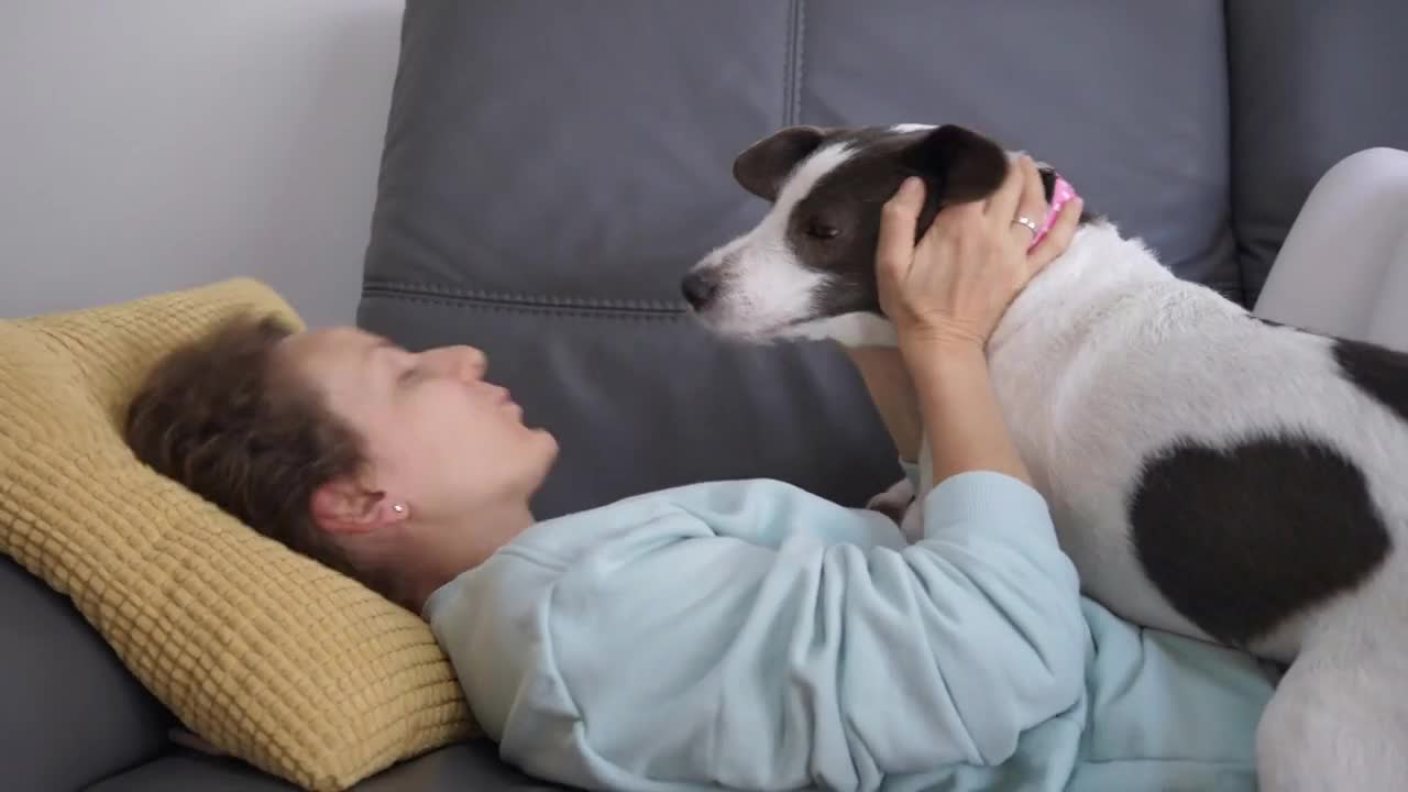 Happy woman playing with cute doggy ears on couch having fun together