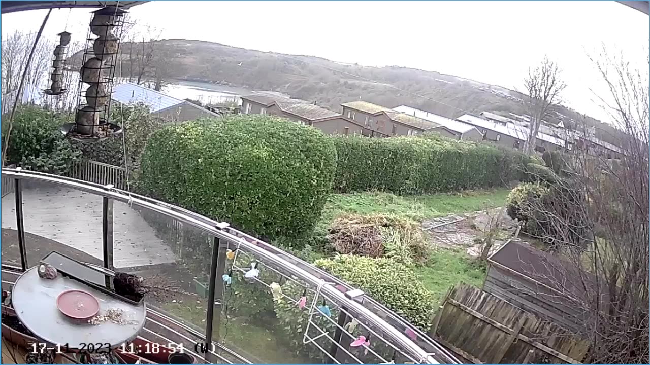 Saint Mary's cove Brixham and bird feeder