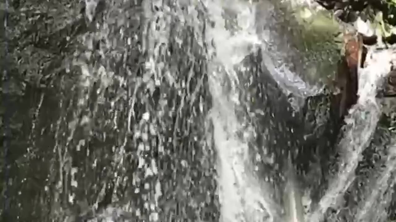 The water fall