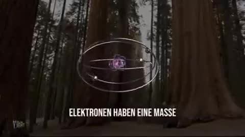 Was ist Realität ? 🤔