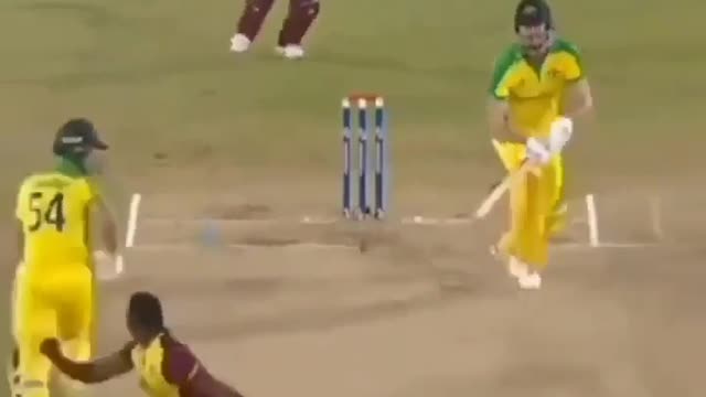 Indian TATA IPL Brilliant catches