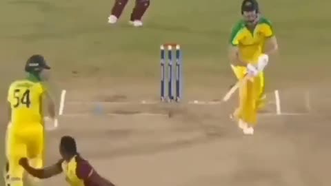 Indian TATA IPL Brilliant catches