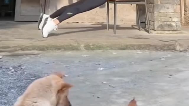 #Funniest #Cats 🐱 and #Dogs 🐶 #Part 15