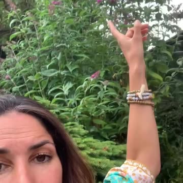 Where Have All The "INSECTS GONE Part 2" - Anyone Noticed?