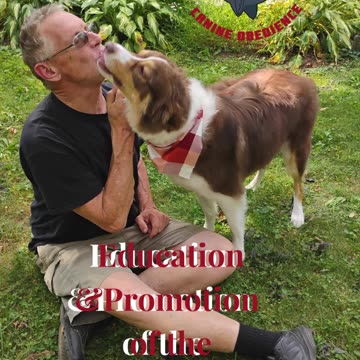 Forrest Four Paws Up!!