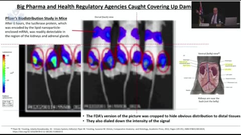 Dr. Byram Bridle: Children In Canada Are Not Safe When Health Agencies Are Untrustworthy.