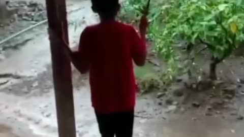 Best Fails of The Week Funniest Fails Compilation