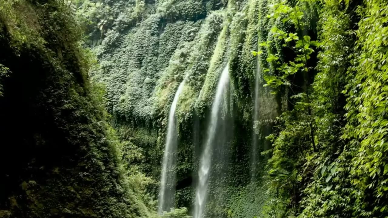 REFLEXÃO DO DIA!