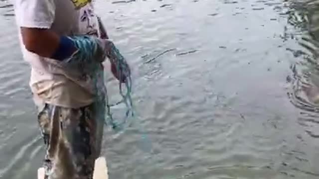 Watch this man catch a fish