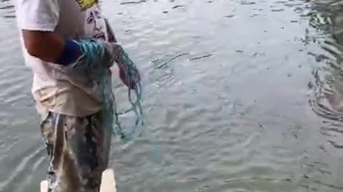 Watch this man catch a fish