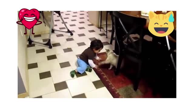 baby boy funny fight with his cat