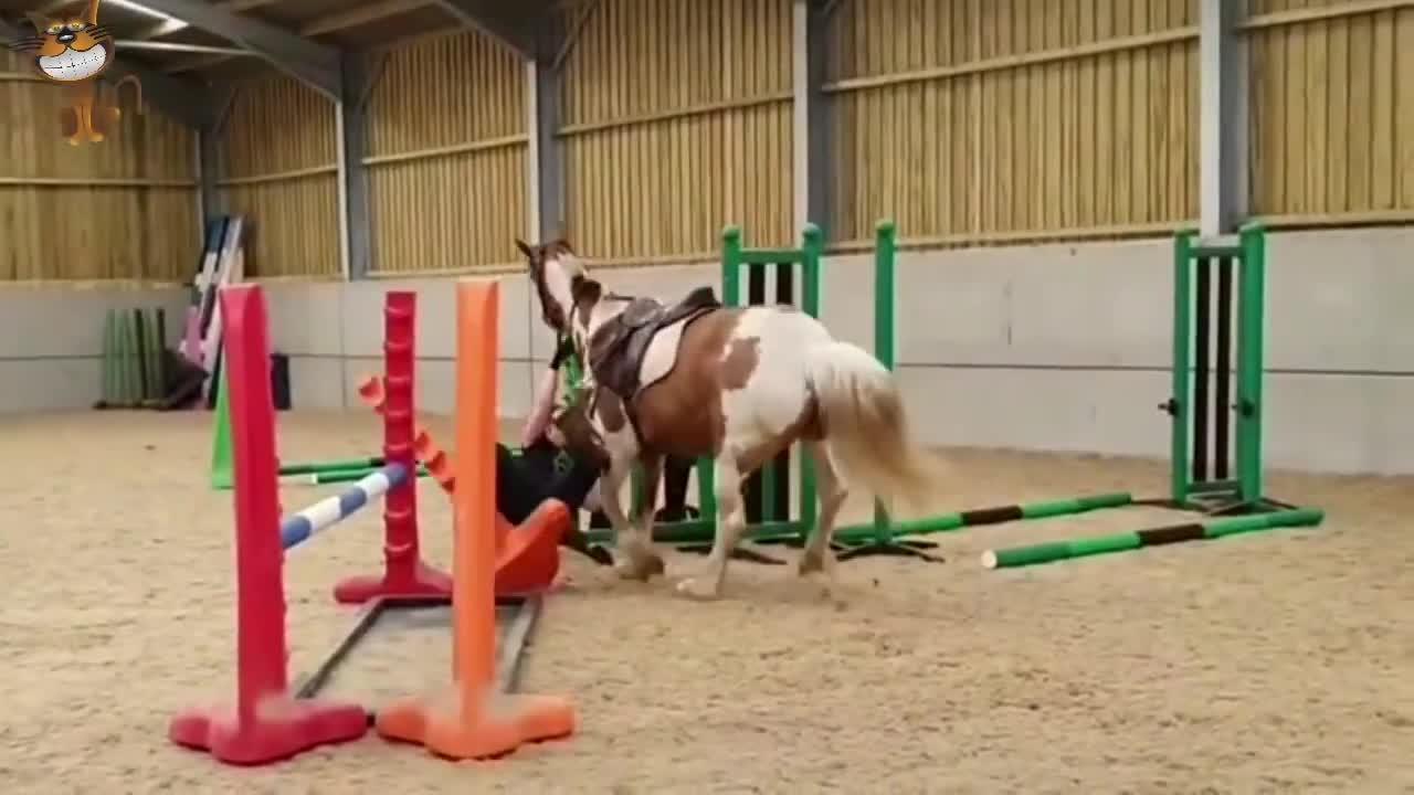 BEST HORSE FAILS OF 2021! lots of falls _Try Not To Laugh