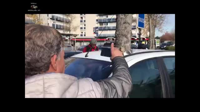 INCREDIBILE! 😳😳 Bug di Matrix ? Un albero attraversa un auto durante la notte