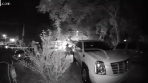 Homeowners Are Blasting at Democrat Criminals On a Daily Basis Now