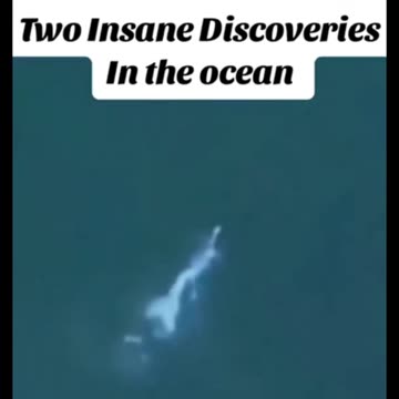 Mermaid in the middle of the ocean. Sighting 2024