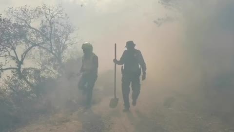 Video: Autoridades atienden incendio forestal de grandes proporciones en San Andrés, Santander