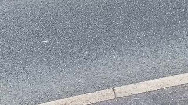 Mohammed aka amir from Luton