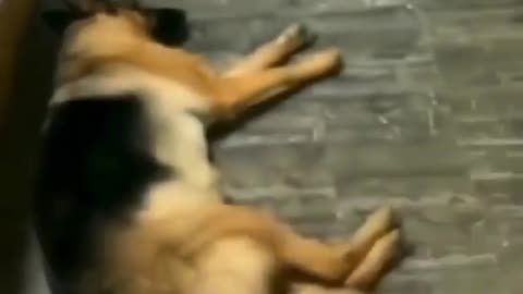 He knows a snack when he hears one