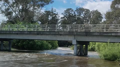 Current flood at Meander River at Westbury Tas Australia