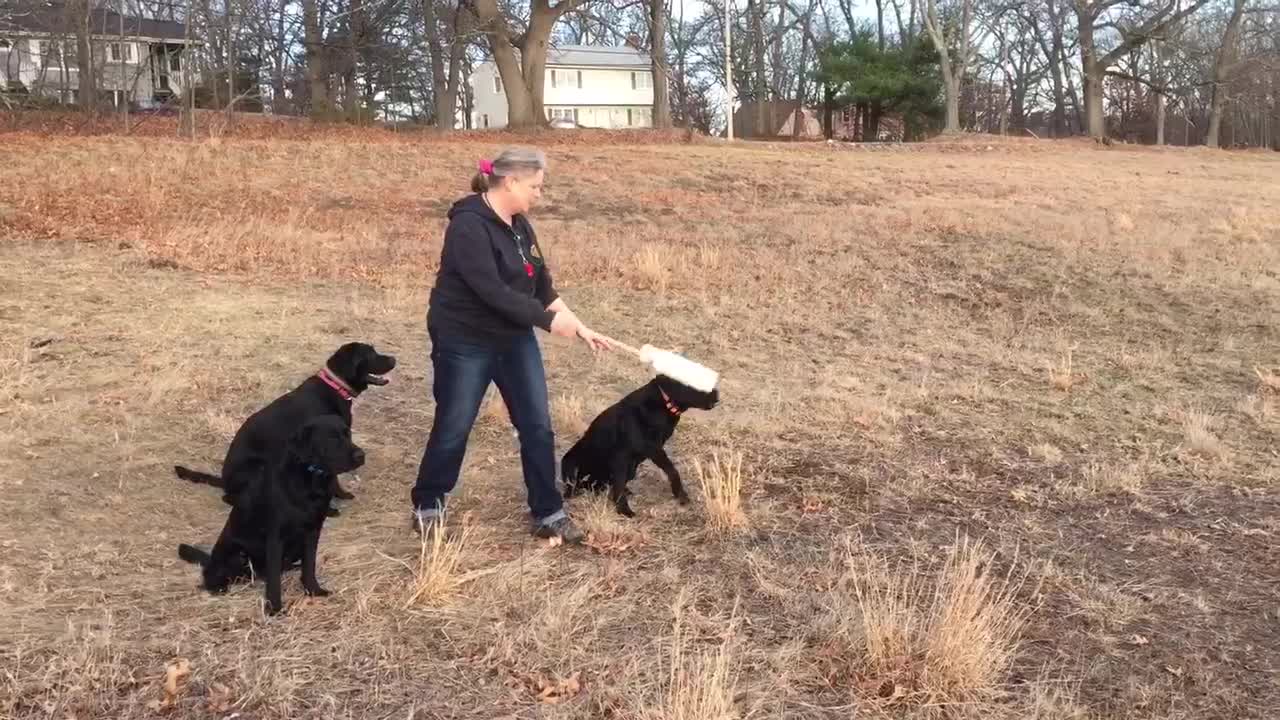 Honoring on Retrieves