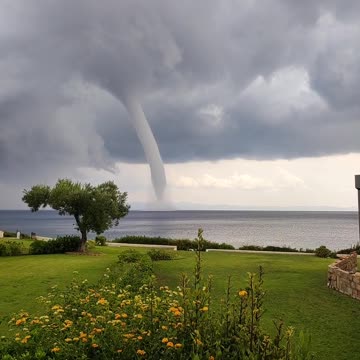 Watersprout closing in, amazing cameo