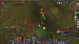 World of Warcraft Classic Hunter and Paladin (wife) journey to Felwood for some grindage